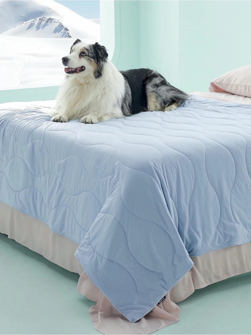 BEDSURE SUPER FRESH COOLING  XL PET BLANKETS!